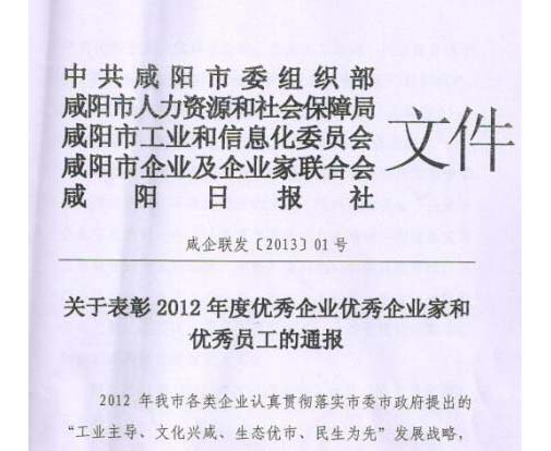总公司荣获2012年度咸阳市优秀企业